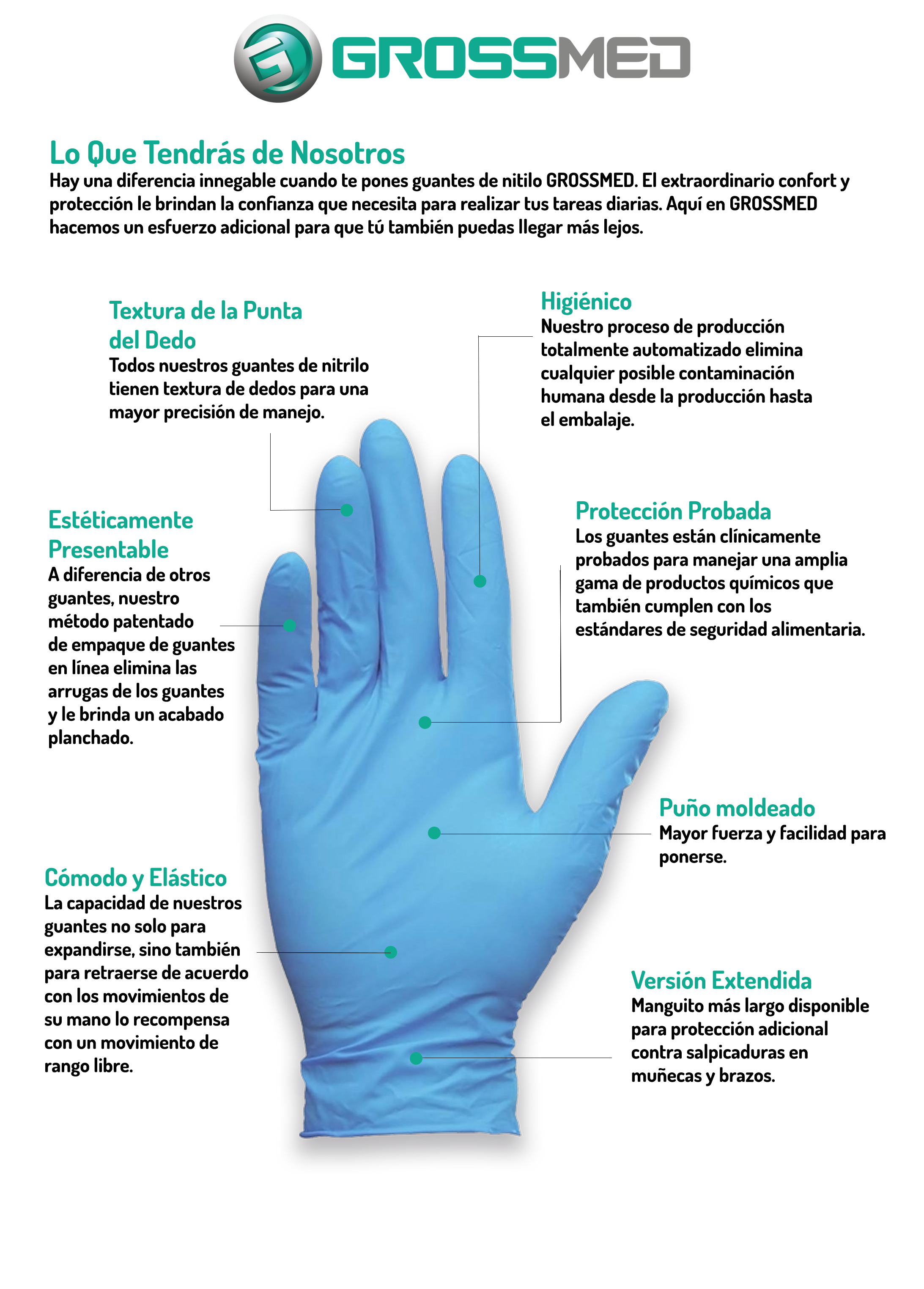 Capa Oyente Portavoz Ficha Tecnica De Los Guantes De Nitrilo Nos Vemos